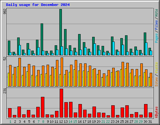 Daily usage for December 2024