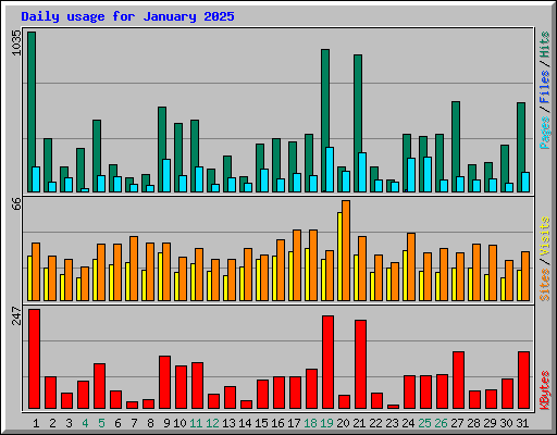 Daily usage for January 2025