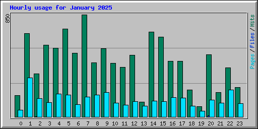 Hourly usage for January 2025