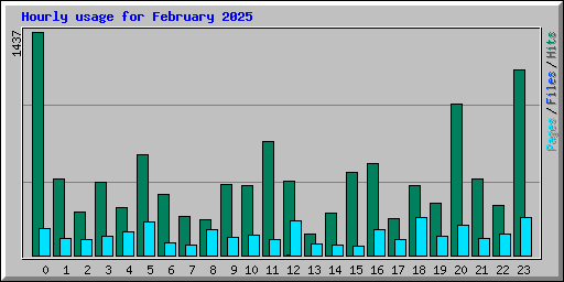 Hourly usage for February 2025
