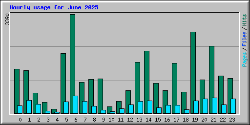 Hourly usage for June 2025