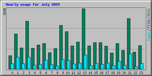 Hourly usage for July 2025