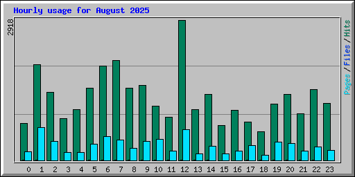 Hourly usage for August 2025