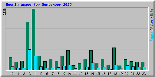 Hourly usage for September 2025