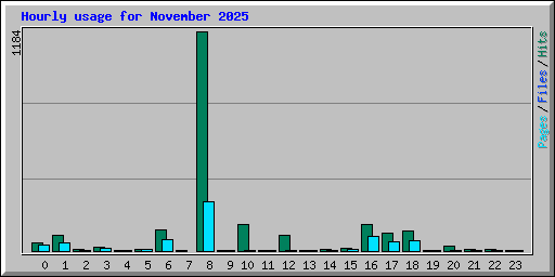 Hourly usage for November 2025