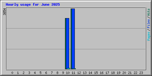 Hourly usage for June 2025